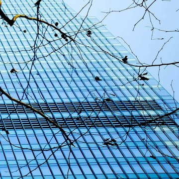 Emerging Trends in Network Automation and Intent-Based Networking