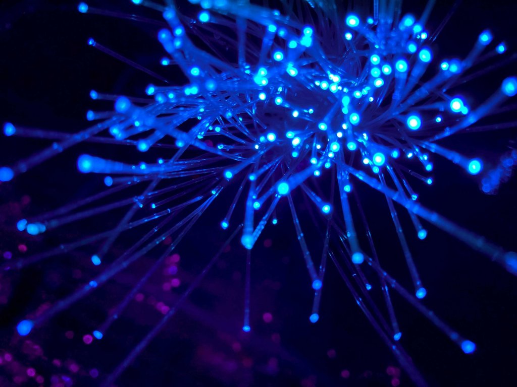 How SD-WAN Helps Multi-Location Businesses Stay Secure and Connected